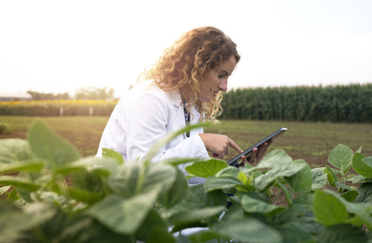 La digitalización redefine la rentabilidad del agro: Agrospot impulsa un nuevo modelo comercial para productores y compradores