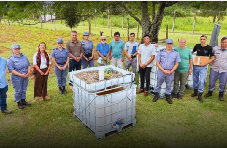 Acuaponía en las cárceles, tecnología circular para producir alimentos y generar nuevos oficios