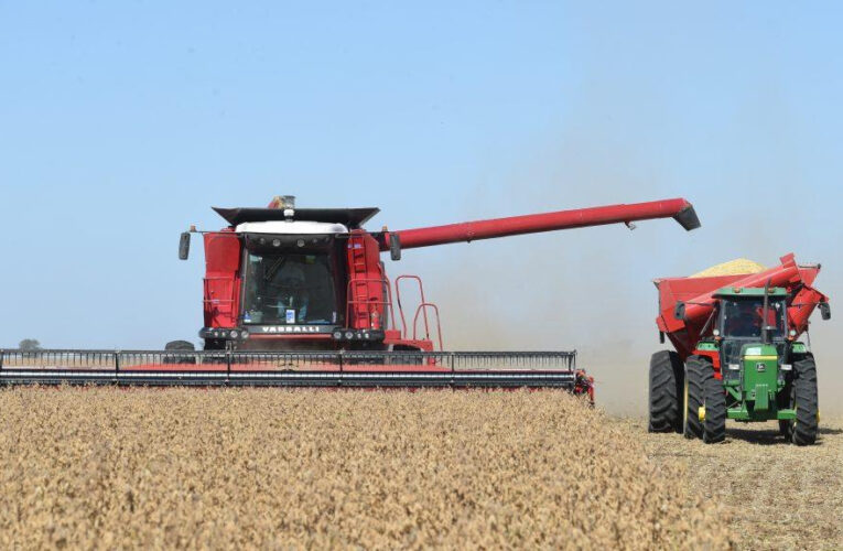 La actividad de la cadena agropecuaria alcanzó un récord histórico en noviembre