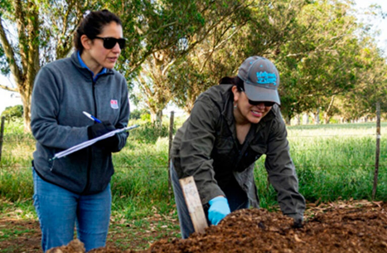 Investigadores de INTA detectan elementos potencialmente tóxicos en compost de cama de pollo