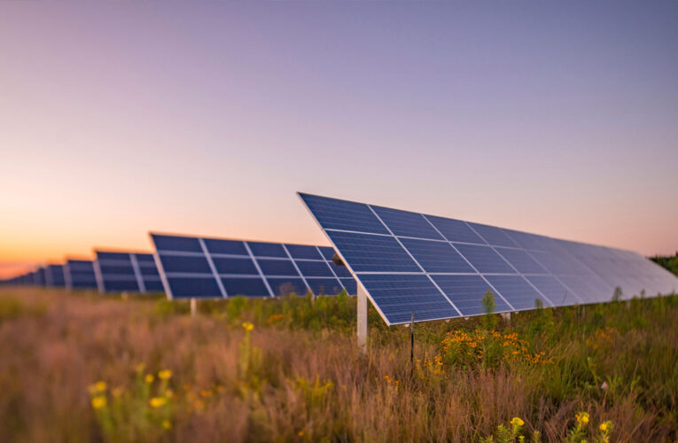 Mientras se prepara el próximo «Plan Verano», el Parque Solar tomará cada vez más impulso