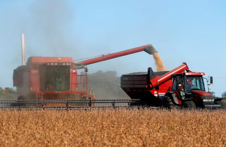 El Gobierno bajó las retenciones a las exportaciones de granos