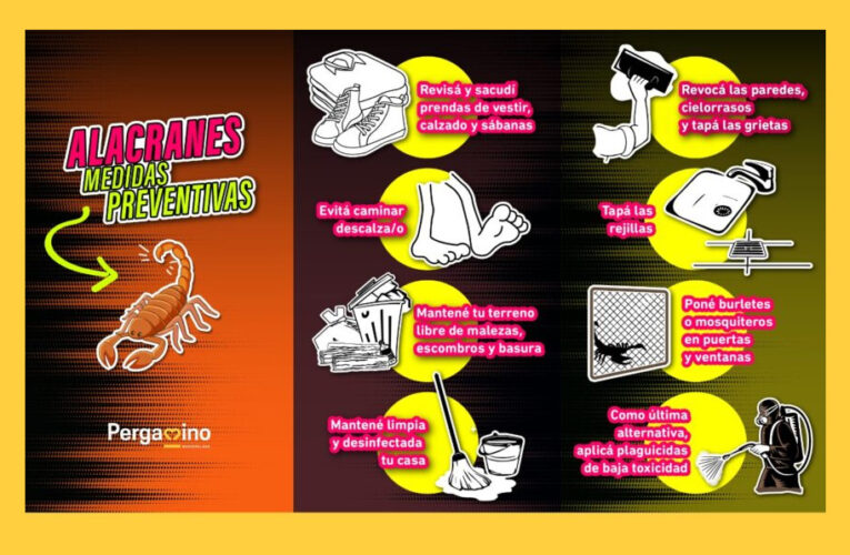 Prevención y cuidados ante la presencia de alacranes