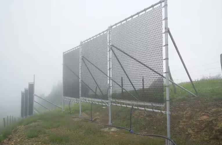 Cosechan «niebla» en el desierto del Sahara