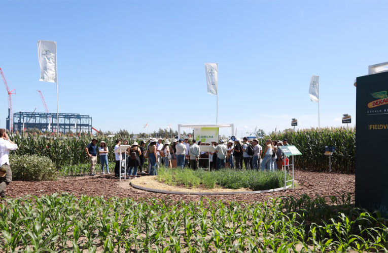 Cerrar brechas, integrar soluciones y trabajar en red: la propuesta de Bayer en Expoagro