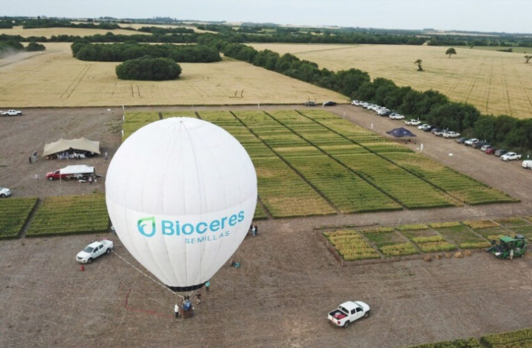 Quiebra de Bioceres S.A.: la Justicia de Santa Fe decretó el default en medio de la interna entre accionistas