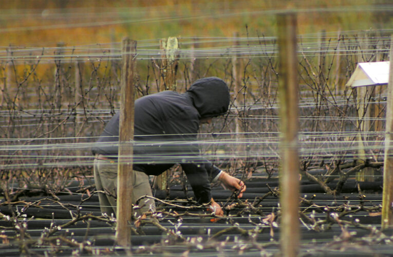 ENOTURISMO: Calendario de eventos Vinos Buenos Aires