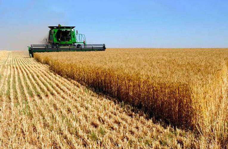 La actividad económica registró una suba mensual en enero