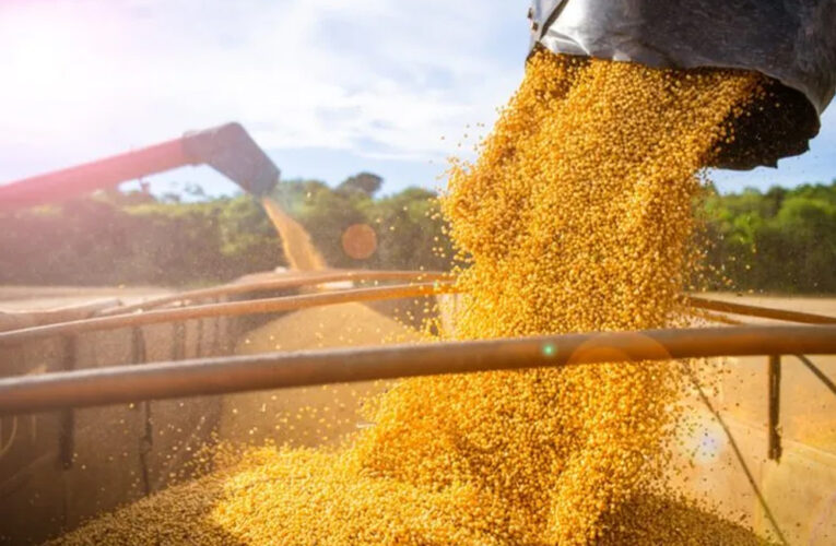 La actividad de la cadena agropecuaria volvió a crecer en febrero y alcanzó un nuevo máximo histórico