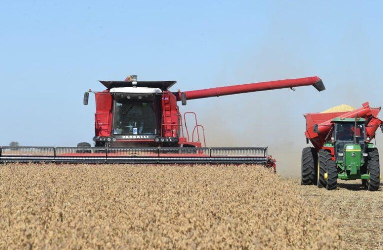 Se proyectan US$ 34.530 millones del agro en 2026