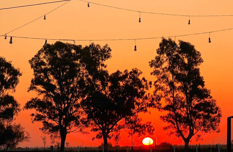 Tres horizontes y una memoria: viaje por isla Martín García, La Niña y Beruti