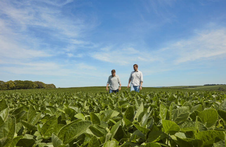 Sin condiciones Niño o Niña, se espera un otoño tranquilo para el agro