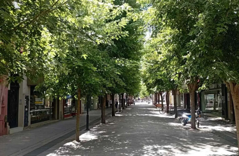 Arquitectos (en su mayoría ex municipales) piden al intendente que paralice los proyectos de la Plaza 25 de Mayo y la peatonal