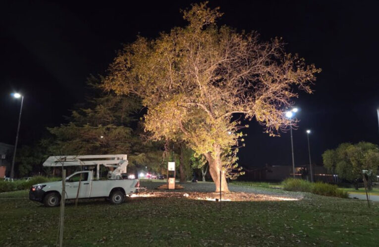 Continúan ampliando y renovando el alumbrado LED en plazas y espacios públicos