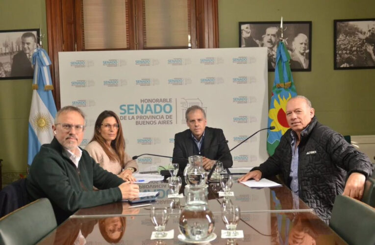 Rico Zini: Proyectos concretos y dinámicos que hagan más ágil la administración pública